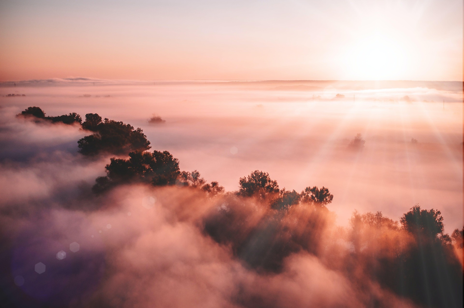 Nature photography submission three